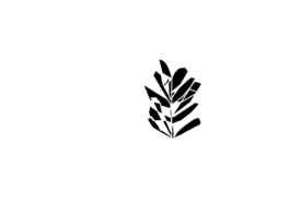 Terzo Paesaggio