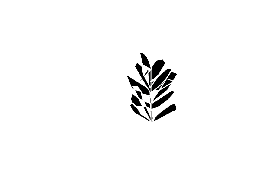 Terzo Paesaggio