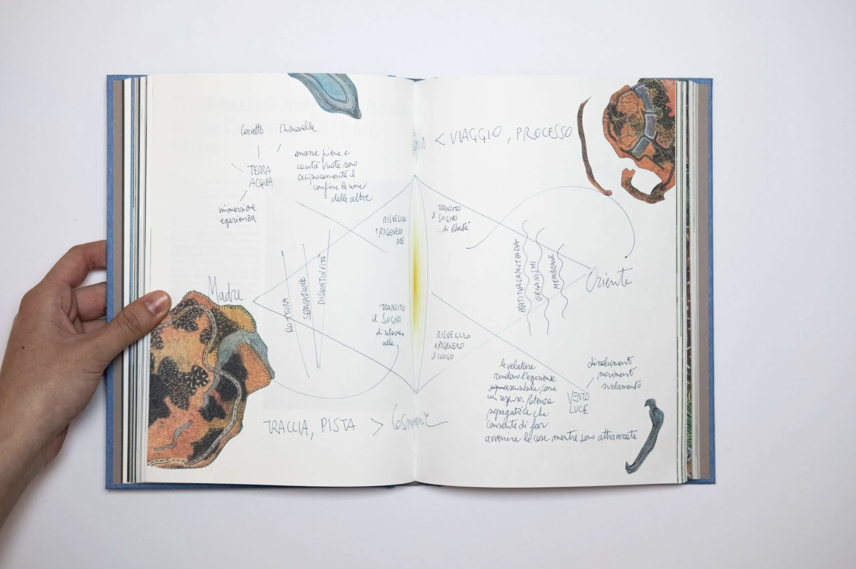 Terzo Paesaggio