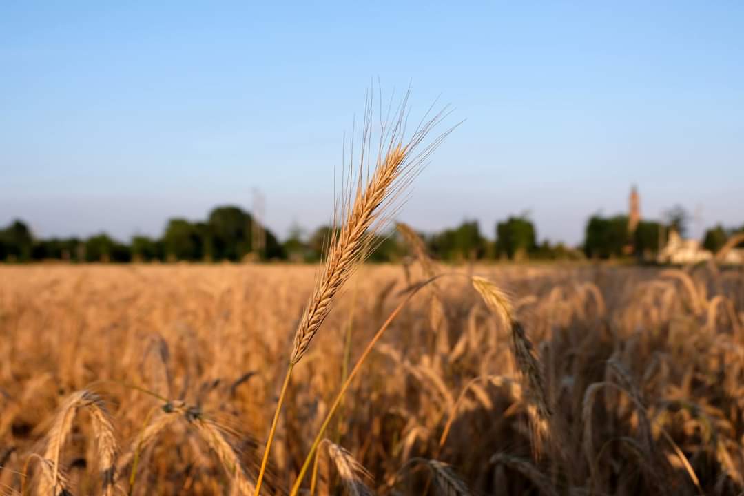 Terzo Paesaggio