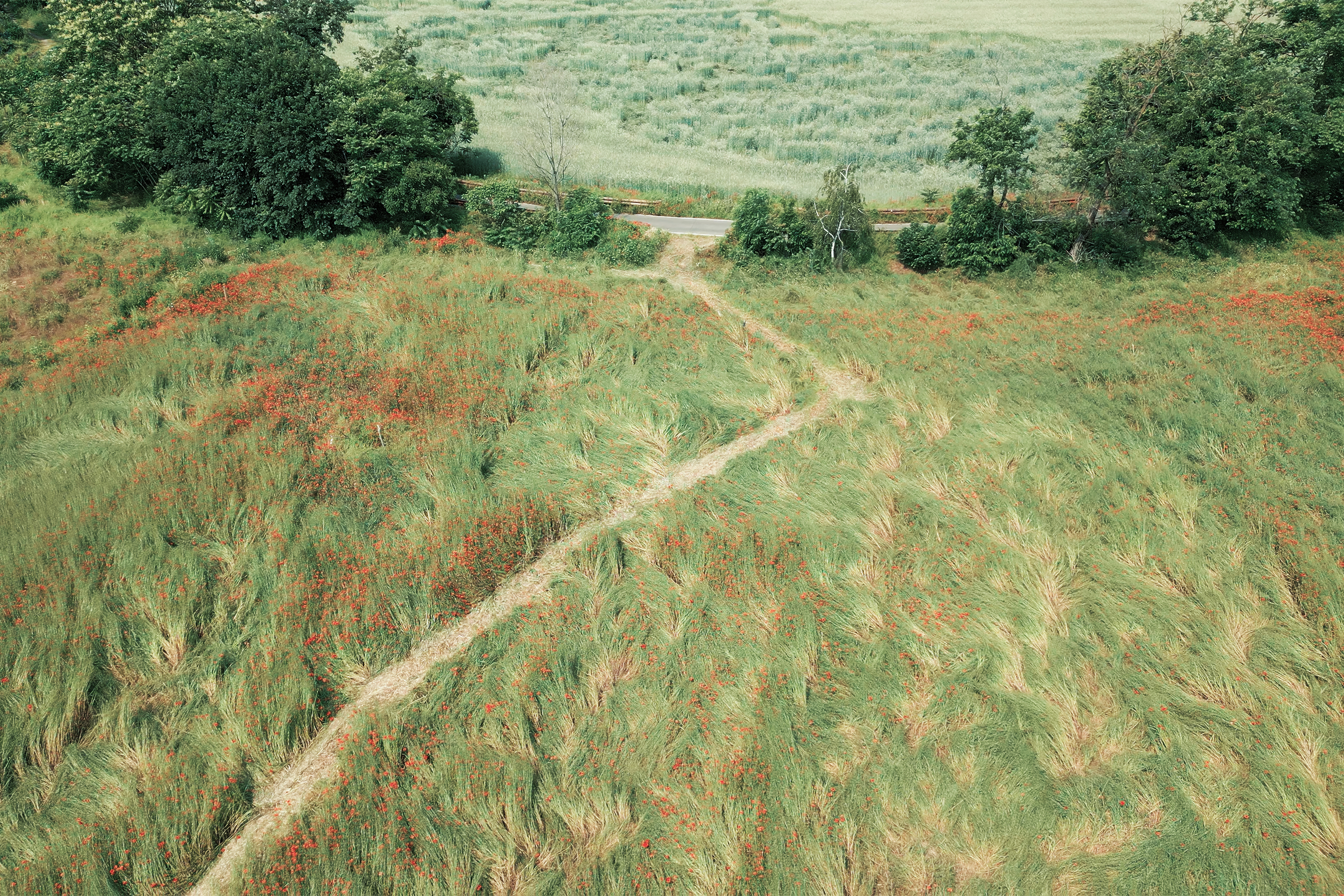 Terzo Paesaggio